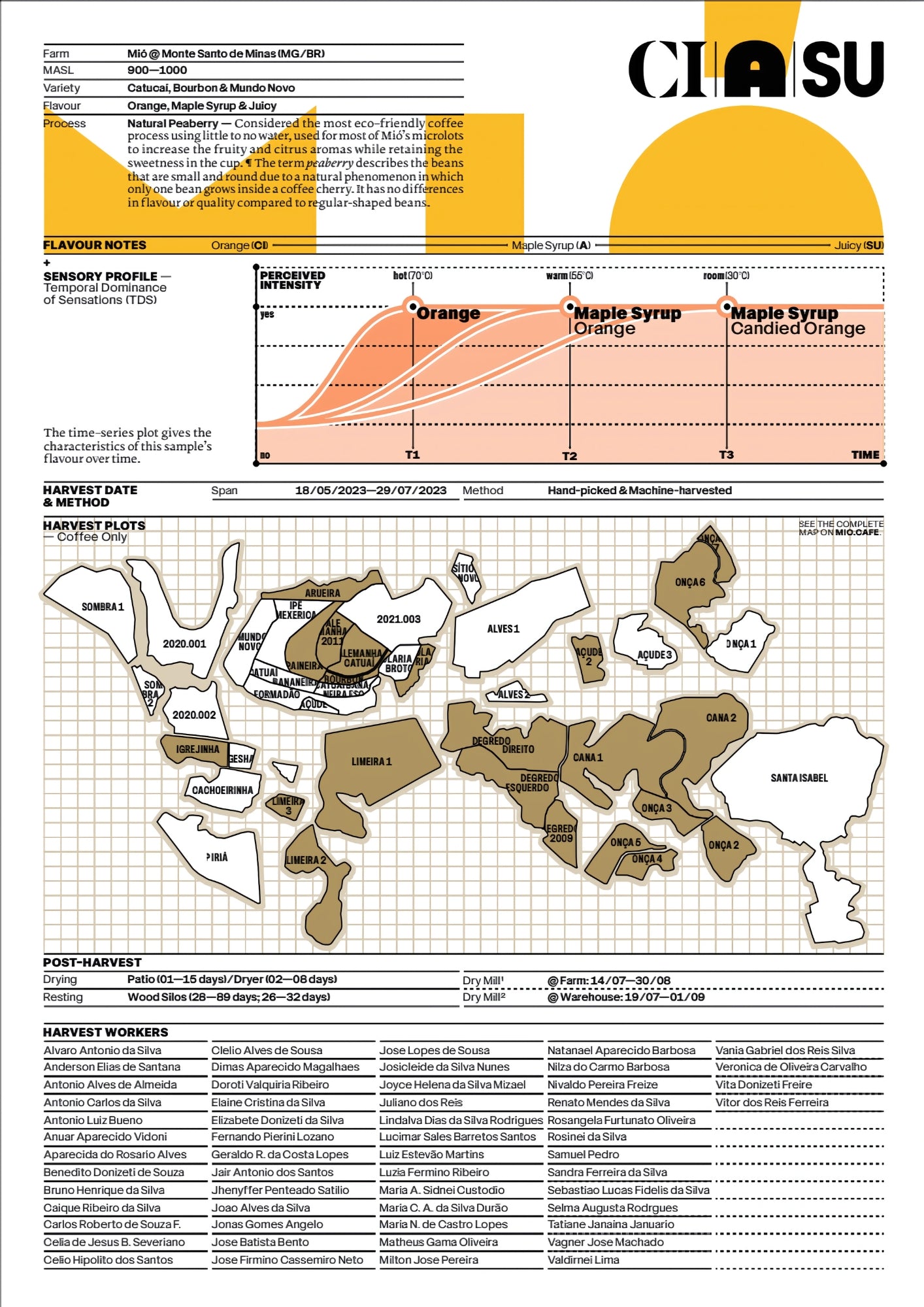 The CIaso tasting profile