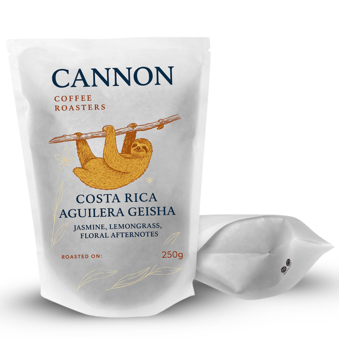 Costa Rica Aguilera Geisha