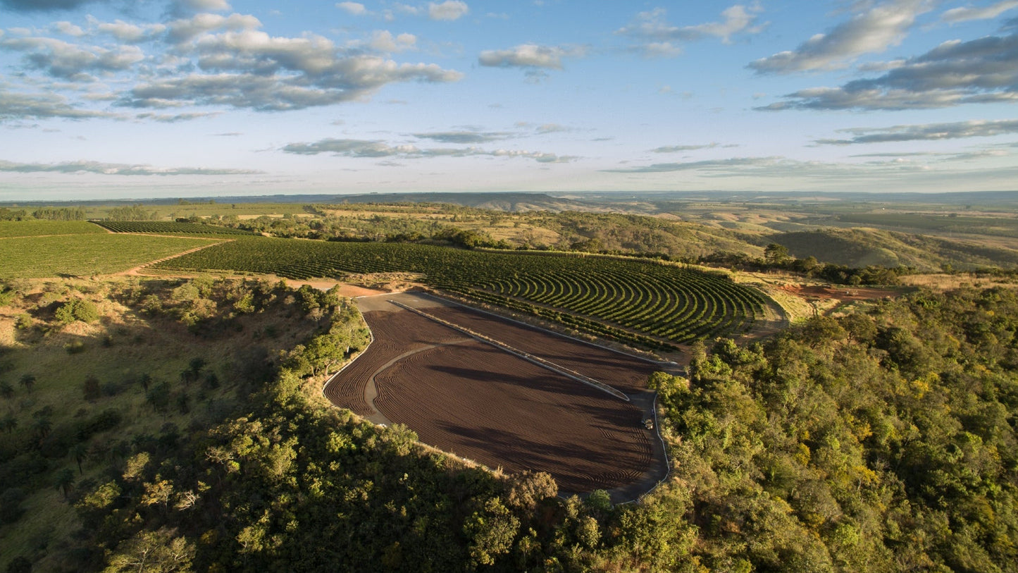 Brazil Fazenda Cachoeira - Wholesale
