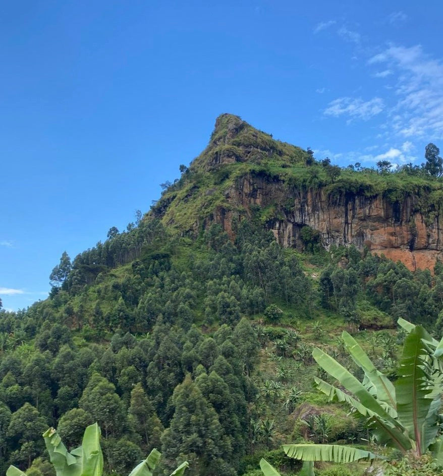 The peak of Mount Elgon itself. What a lovely place!