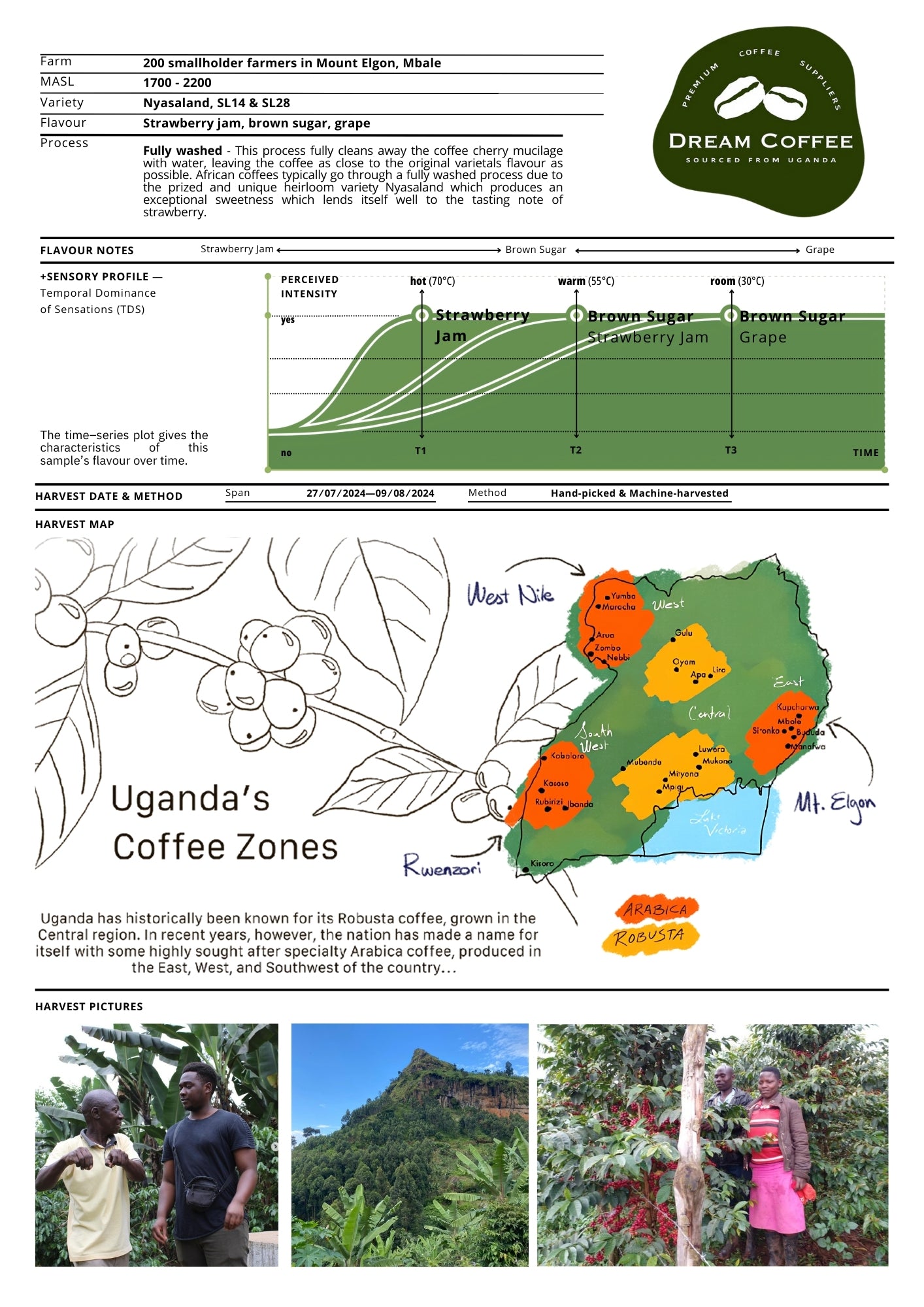 The flavour notes of Ugandan Mt Elgon