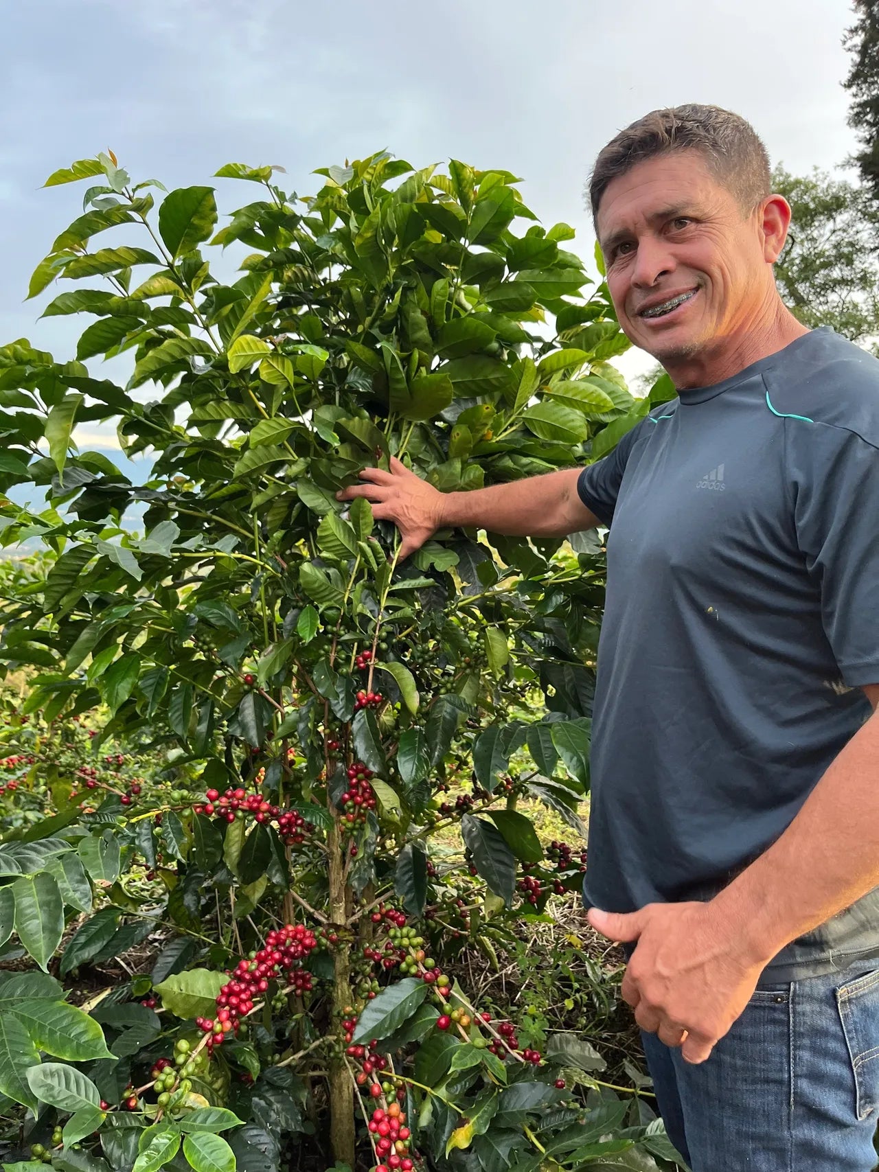 Costa Rica Aguilera Geisha