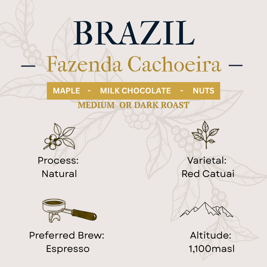 Brazil Fazenda Cachoeira