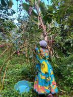 Coffee picking - a low impact, sustainable way of coffee production