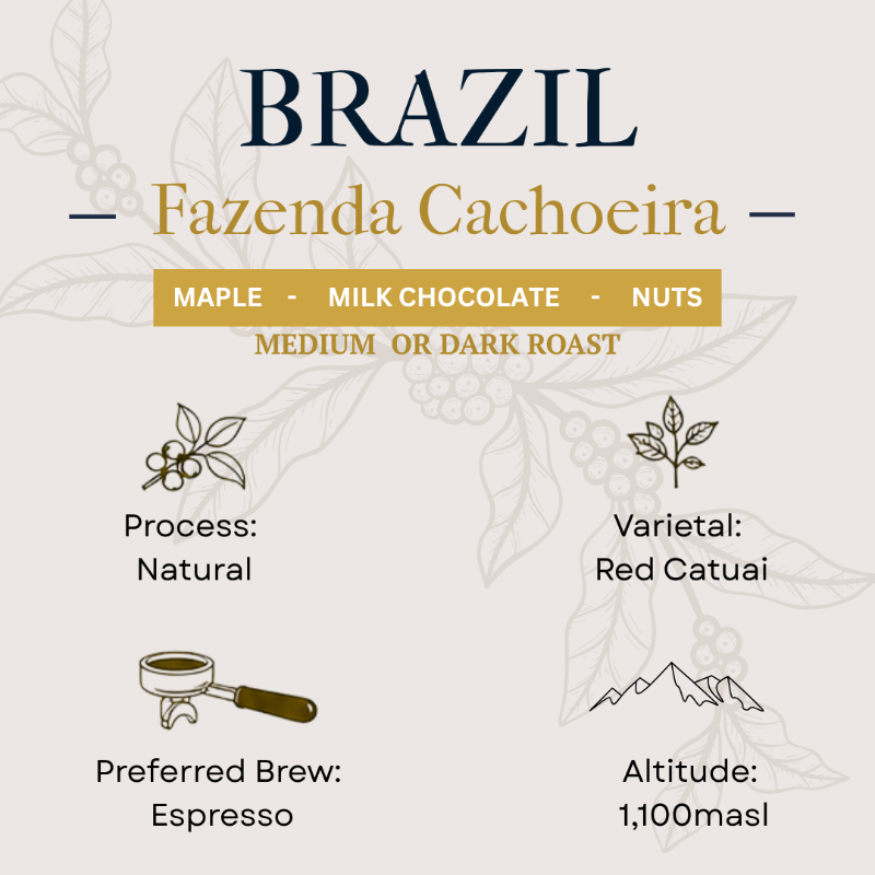Chocolate label for 'Brazillian Fazenda Cachoeira' with details on flavor, process, varietal, and brewing preferences.