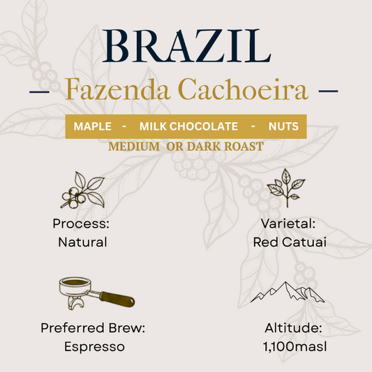 Chocolate label for 'Brazillian Fazenda Cachoeira' with details on flavor, process, varietal, and brewing preferences.