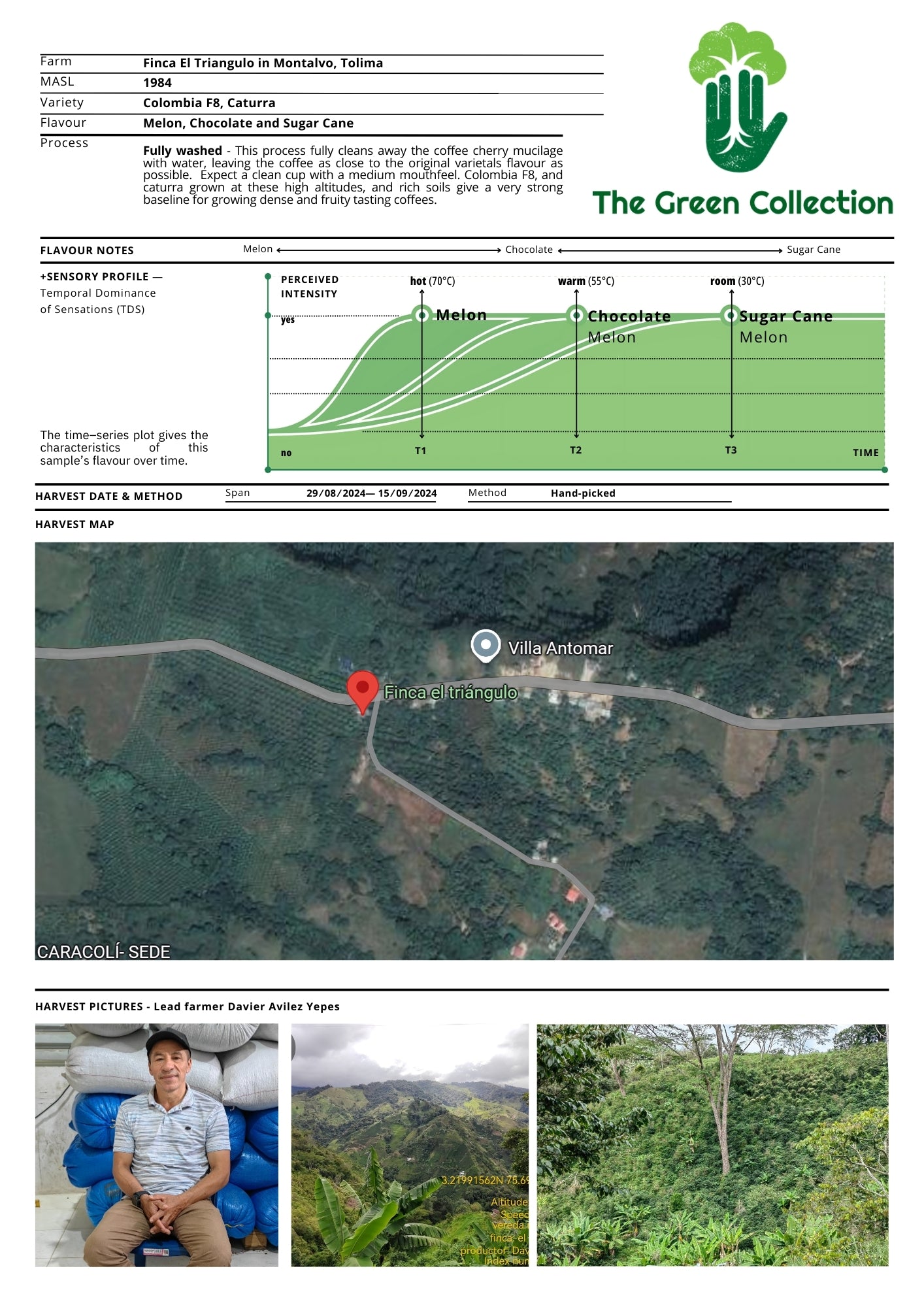 The tasting profile of El Triangulo