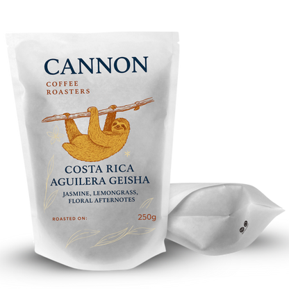 Costa Rica Aguilera Geisha