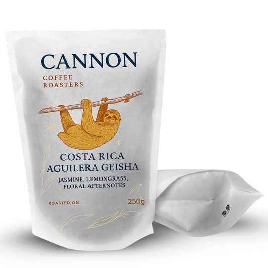 Costa Rica Aguilera Geisha