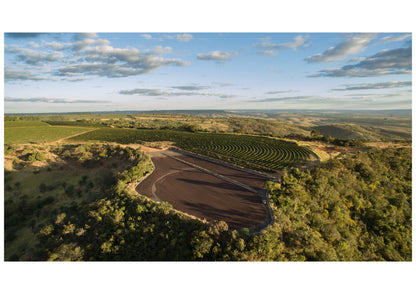 Brazil Fazenda Cachoeira - Wholesale