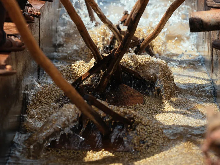 Close-up of a traditional coffee washing mill with wooden components and green coffee being processed.