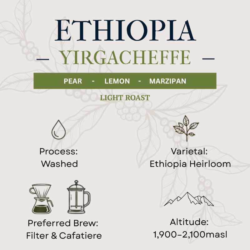 Coffee label for Ethiopia Yirgacheffe with flavor notes, roast level, and brewing information.
