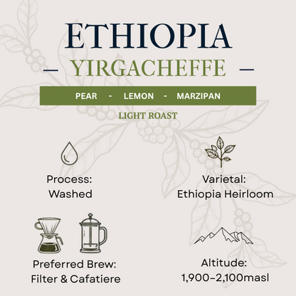 Coffee label for Ethiopia Yirgacheffe with flavor notes, roast level, and brewing information.