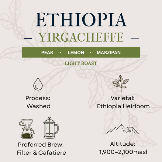 Coffee label for Ethiopia Yirgacheffe with flavor notes, roast level, and brewing information.