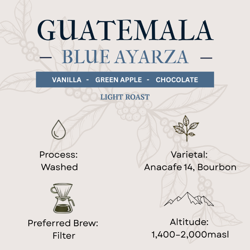 Guatemala Blue Ayarza coffee label with flavor notes, roast type, and brewing information.