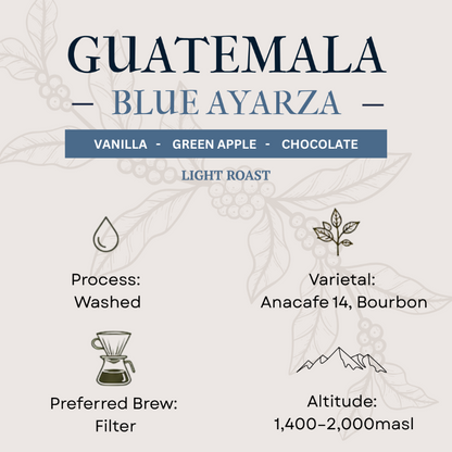 Guatemala Blue Ayarza coffee label with flavor notes, roast type, and brewing information.