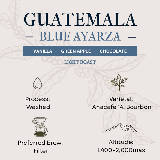 Guatemala Blue Ayarza coffee label with flavor notes, roast type, and brewing information.