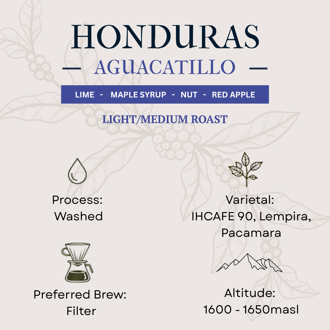 Honduras Aguacatillo