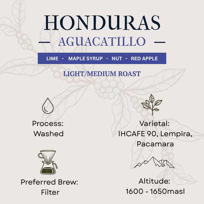 Honduras Aguacatillo