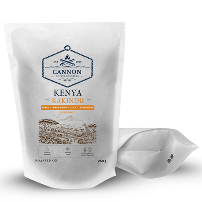 A white stand-up pouch of Cannon Coffee Roastery Zambia Kateshi light roast coffee beans, with a single coffee bean visible in a small clear bag in the foreground, on a white background.