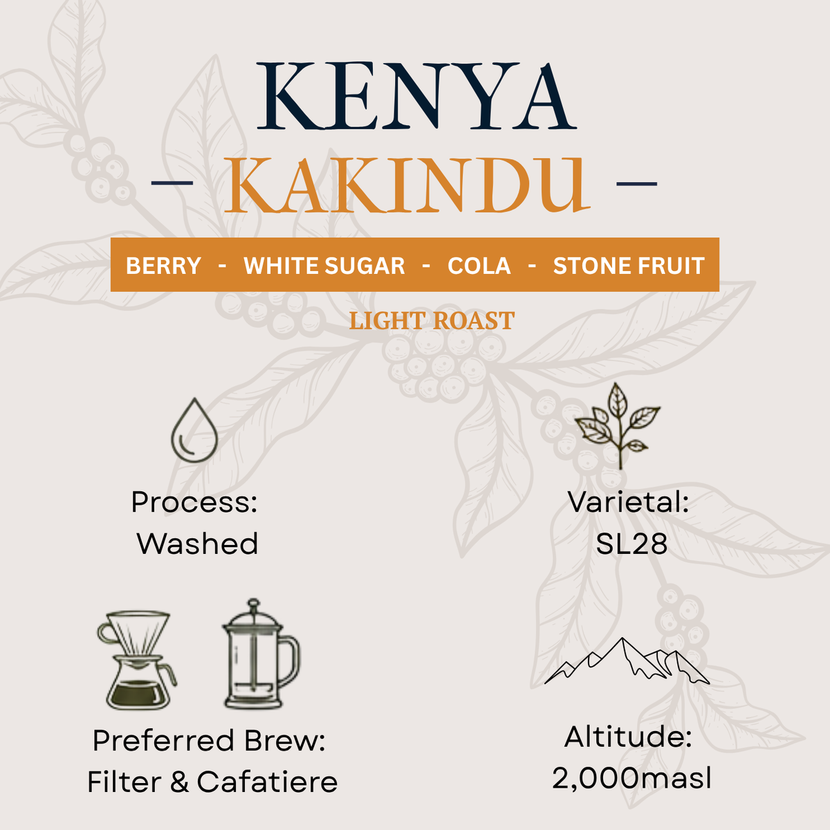 A stylized product information graphic for Kenya Kakindu coffee. The design has a light beige background with faint botanical coffee bean line art.