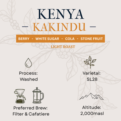 A stylized product information graphic for Kenya Kakindu coffee. The design has a light beige background with faint botanical coffee bean line art.