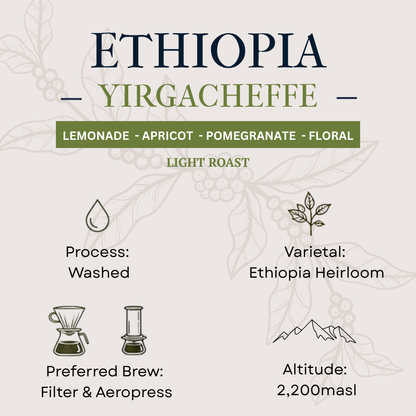 Ethiopia Yirgacheffe
