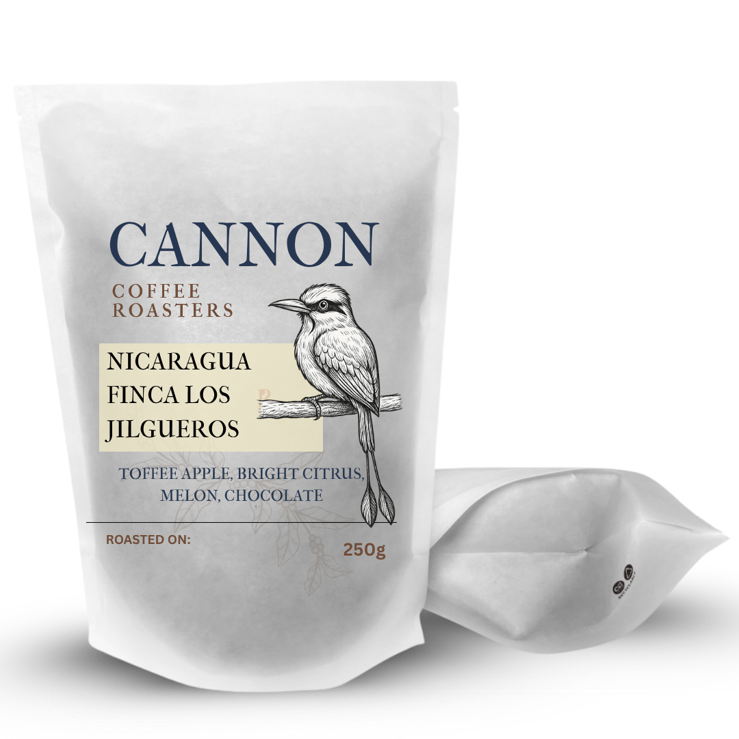 Nicaragua Pacamara Finca Los Jilgueros
