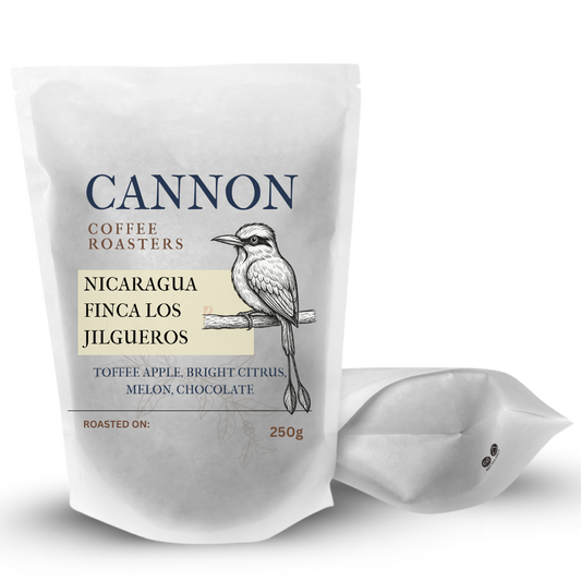 Nicaragua Pacamara Finca Los Jilgueros