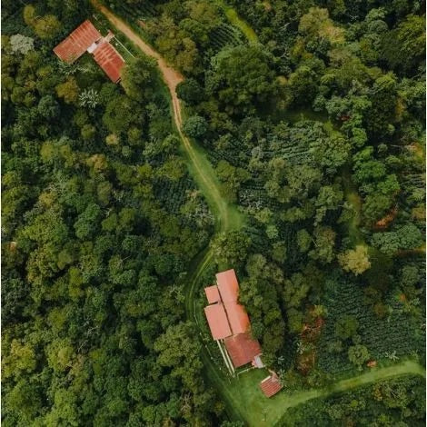 Honduras Birdseye view