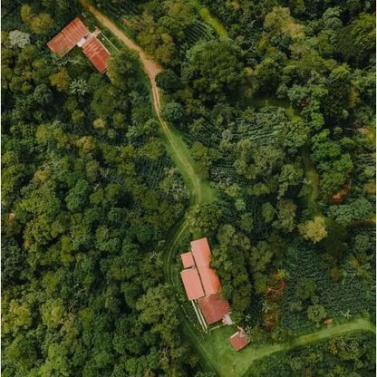 Honduras Birdseye view