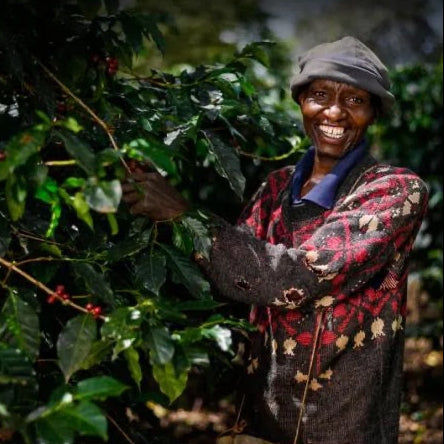 Kenya Kakindu