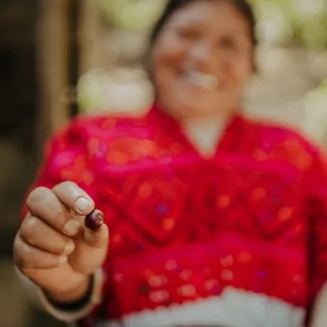 Mexico Ki-Saya