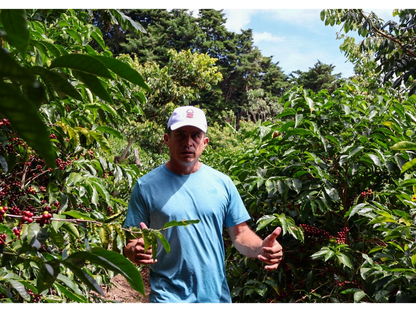 Costa Rica Aguilera Geisha