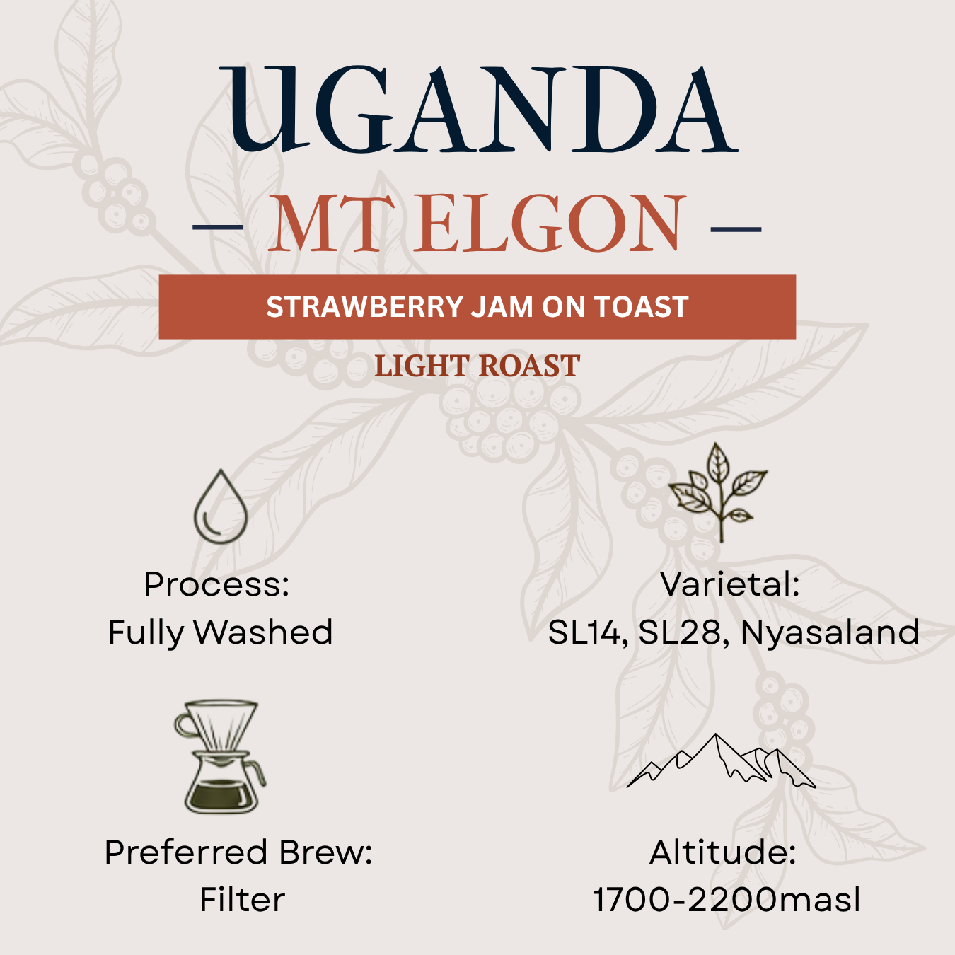 Uganda Mount Elgon