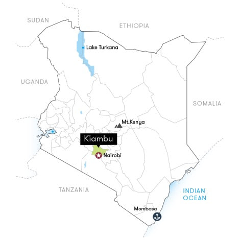 A simple map of Kenya highlighting Kiambu, with nearby labeled landmarks including Lake Turkana, Nairobi, Mt. Kenya, Mombasa, and neighboring countries.