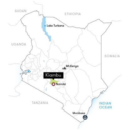 A simple map of Kenya highlighting Kiambu, with nearby labeled landmarks including Lake Turkana, Nairobi, Mt. Kenya, Mombasa, and neighboring countries.